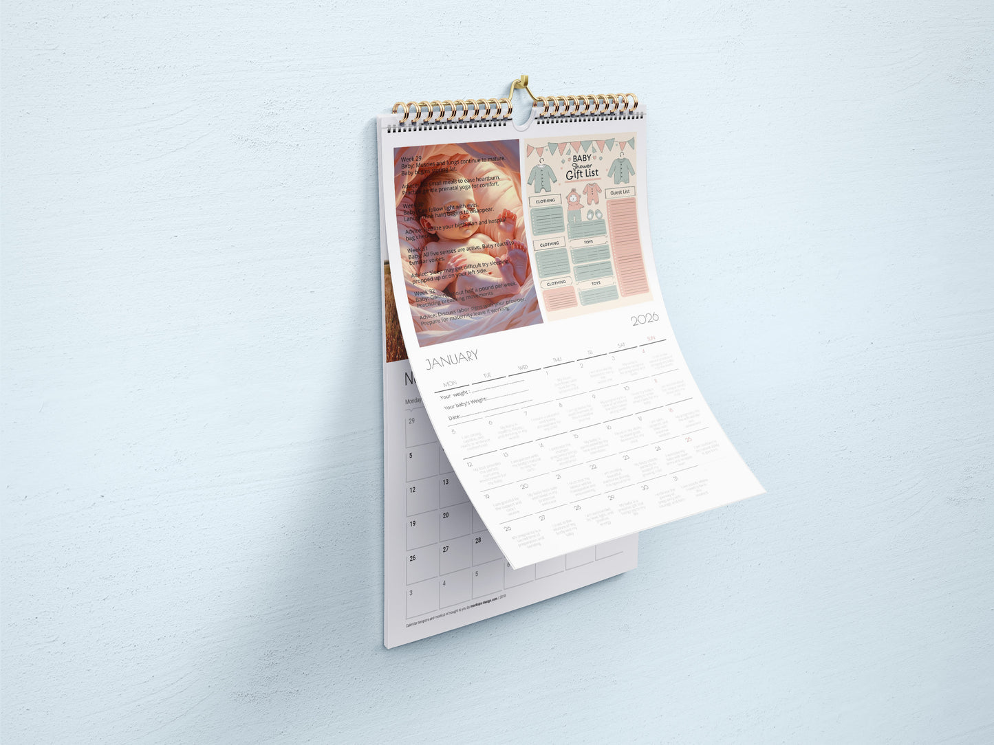 Pregnancy Calendar. Wall calendars 2025-2026 (US & CA)